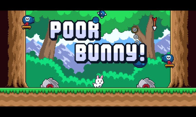 Poor Bunny